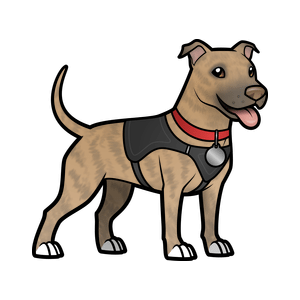 Bitmoji of 9Sail's office dog, Dunkin