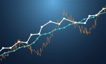 Search Engine Optimization Results case Study