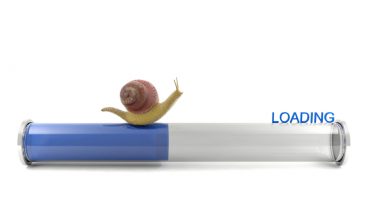Snail on loading bar with blue text saying loading