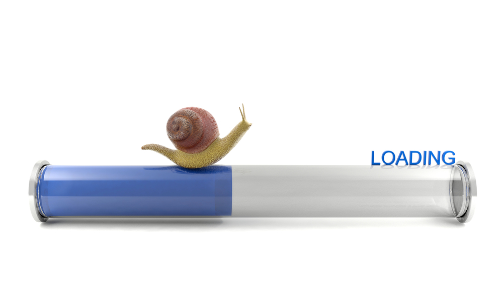 Snail on loading bar with blue text saying loading