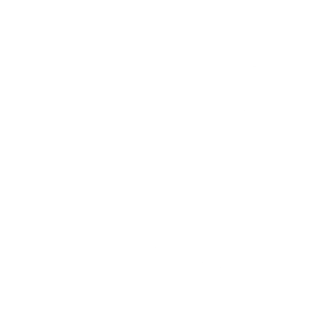 White irregular outline resembling the shape of a country or region on a solid black background.